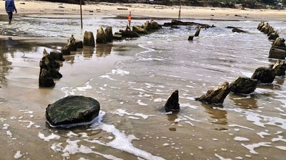 Древний корабль обнаружен на побережье Хойана: риск разрушения при задержке вмешательства