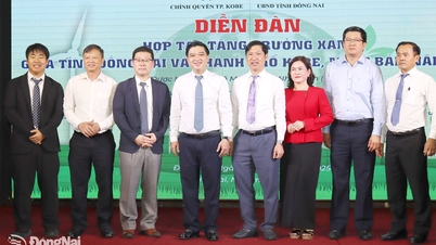 De provincie Dong Nai en de stad Kobe (Japan) versterken de samenwerking bij de ontwikkeling van groene industrieparken