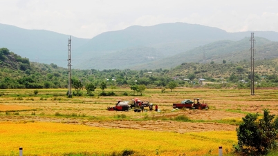וין האו בונה אזורים כפריים חדשים ומתקדמים