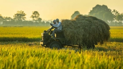 Hanoi reglerar byggandet i koncentrerade jordbruksområden