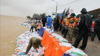 دا نانغ: الحفاظ على سلامة جسر آن لونغ