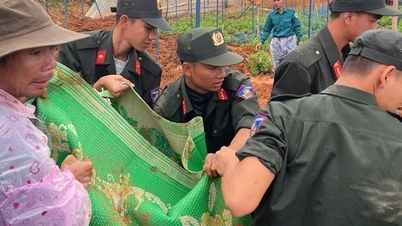 کشاورزی هنگام باغبانی زیر سنگ و خاک مدفون شد.