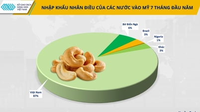 Wietnamskie orzechy nerkowca wkraczają na wysokiej jakości „plac zabaw”