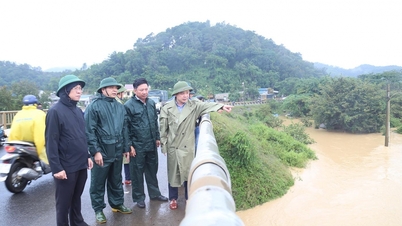 A Tartományi Pártbizottság titkárhelyettese, Do Huu Huy ellenőrizte és irányította az árvízkár-elhárítási munkálatokat.