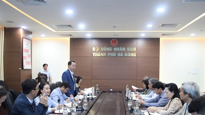 W Da Nang znajduje się 1774 prywatnych placówek medycznych i leczniczych.