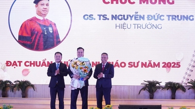 De Bankuniversiteit van Ho Chi Minhstad heeft nog eens 12 hoogleraren en universitair hoofddocenten.