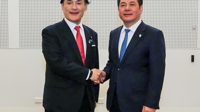 Minister Nguyen Hong Dien höll ett bilateralt möte med utrikesministern vid Japans kabinettskontor.