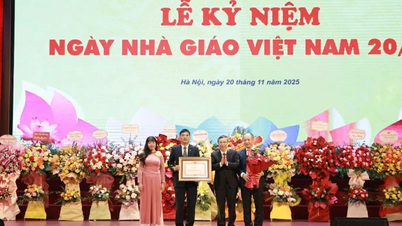 Підтримка цінності вчителів на шляху трансформації Університету Туйлой