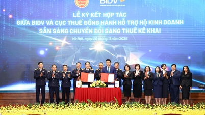 BIDV och skattesektorn samarbetar för att stödja företagshushåll