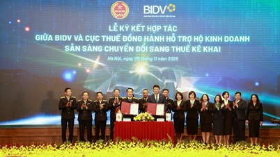 កៀរគរប្រព័ន្ធអេកូឡូស៊ីហិរញ្ញវត្ថុ-បច្ចេកវិជ្ជា ដើម្បីគាំទ្រដល់គ្រួសារធុរកិច្ចក្នុងការបំប្លែងពីពន្ធដុំទៅជាការប្រកាស