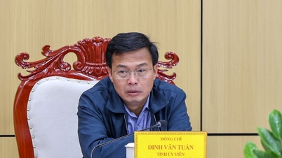 Vice Chairman of Lam Dong Provincial People's Committee Dinh Van Tuan requested strict handling of all illegal production activities.
