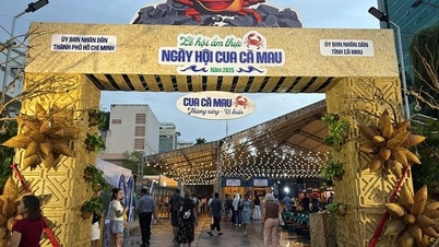 "Lễ hội Ẩm thực - Ngày hội Cua Cà Mau năm 2025" lần đầu tiên được tổ chức tại Thành phố Hồ Chí Minh