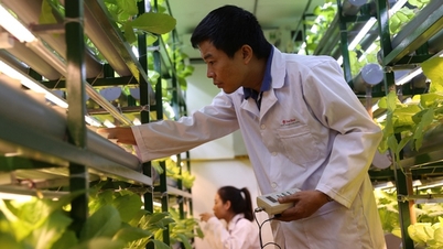 Completar el sistema nacional de normas para impulsar la transformación verde y los objetivos de bajas emisiones