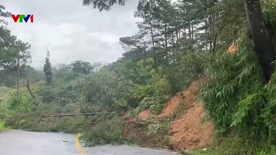 Urgently overcome serious landslides on Song Pha Pass and Mimosa Pass