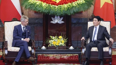 President Luong Cuong mottar presidenten i Tsjekkias senat