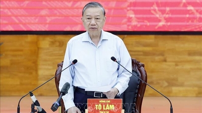 Generalsekretær To Lam jobber med den stående komiteen til An Giang provinsielle partikomité