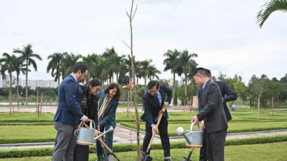Colombian Embassy in Vietnam presents 25 tamarind trees to Hanoi city