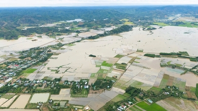 Cat Tien Commune urgently responds to heavy rain, Dong Nai River rises