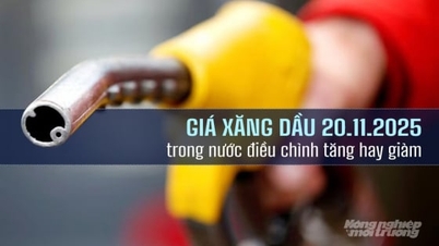 Harga petrol domestik pada 20 November 2025 diselaraskan sedikit