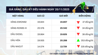 قیمت بنزین امروز 20 نوامبر: RON95 و E5RON92 هر دو اندکی کاهش یافتند
