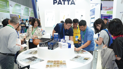 Vietnam International Hardware and Hand Tools Exhibition 2025 attracts 380 participating businesses