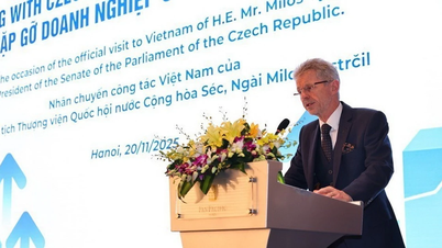 Doanh nghiệp Việt Nam và Séc còn nhiều tiềm năng để hợp tác