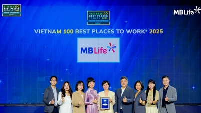 MB Life has been honored as “Best Workplace in Vietnam” for 3 consecutive years.
