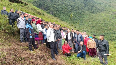 Ringkasan model penanaman pohon pir yang terkait dengan pengembangan ekowisata