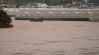람동은 수력 발전소가 협력하여 홍수를 줄이고 하류 지역의 사람들을 대피시킬 것을 제안했습니다.