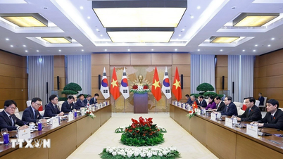 Președintele Adunării Naționale, Tran Thanh Man, a purtat discuții cu președintele Adunării Naționale a Republicii Coreea