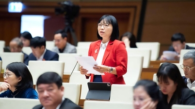 Vorschlag zur Prüfung der Einrichtung eines nationalen Stipendienfonds