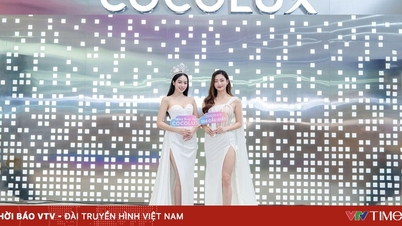 Мисс Тхань Туй и Лыонг Туй Линь посетили открытие флагманского магазина COCOLUX