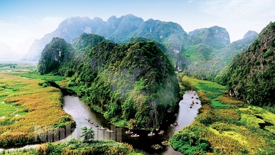 Quyết định về việc thành lập Ban Chỉ đạo Xây dựng Hồ sơ đề cử Quần thể Tam Chúc và Khu bảo tồn thiên nhiên đất ngập nước Vân Long, tỉnh Ninh Bình đề nghị Tổ chức Giáo dục, Khoa học và Văn hóa của Liên hợp quốc (UNESCO) công nhận là Di sản thế giới