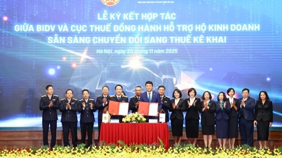 बीआईडीवी कर क्षेत्र के साथ मिलकर व्यापारिक घरानों को बदलाव लाने और सफलता प्राप्त करने में सहायता करता है