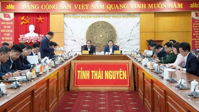 استكمال نظام المشروع للتأكد من جدواه وملاءمته للواقع.