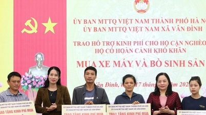 Van Dinh répand la force d'une grande solidarité