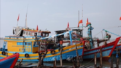 Hadat üzenünk az IUU-nak - 2. rész