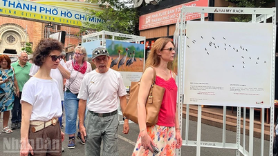 11月にホーチミン市を訪れた海外からの観光客は約80万人