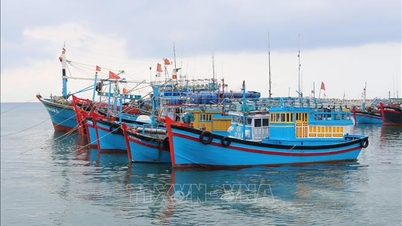 Mendeklarasikan Perang terhadap IUU - Artikel Terakhir