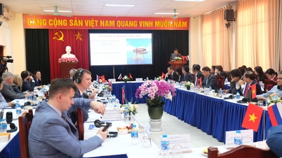 Vietnamsko-ruská spolupráce v oblasti obnovitelných zdrojů energie a průmyslu