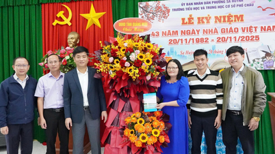 អនុប្រធាន Do Tam Hien បានទៅសួរសុខទុក្ខ និងអបអរសាទរទិវាគ្រូបង្រៀនវៀតណាម នៅសាលាបឋមសិក្សា និងអនុវិទ្យាល័យ Pho Chau