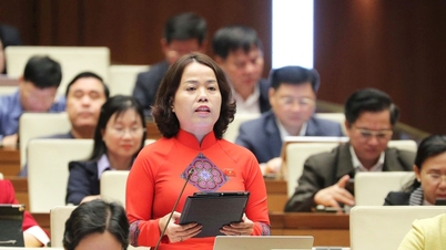 หลีกเลี่ยงการสร้าง "ช่องว่าง" ทางกฎหมายในการฝึกอบรมครูและแพทย์