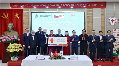 Çek Cumhuriyeti Senatosu Başkanı, Vietnam Kızılhaç Derneği ile birlikte çalışmaktadır