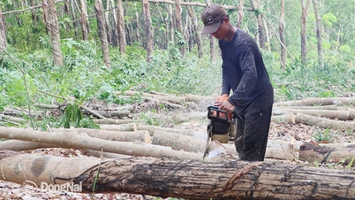 Понад 314 мільярдів донгів на компенсацію та підтримку будівництва швидкісної автомагістралі Хошимін — Тху Дау Мот — Чон Тхань