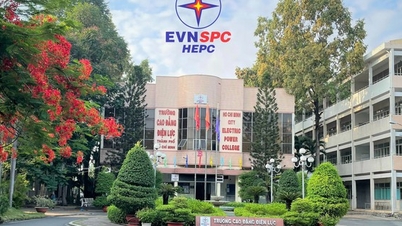 20 november jubileum: 49e verjaardag van Ho Chi Minh City College of Electricity