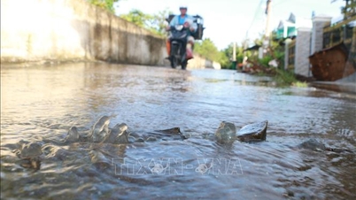 Na południowo-wschodnim wybrzeżu pojawia się przypływ