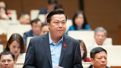 Az Országgyűlés küldöttei az oktatási humánerőforrás-gazdálkodás hatékonyságának javítását javasolják