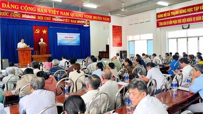 Tay Ninh میں کاساوا کی پائیدار ترقی