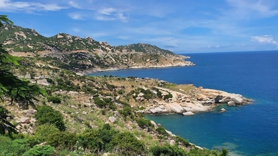 Муй Динь Нинь Туан: Путеводитель по дикой природе