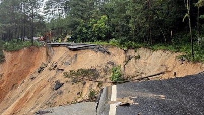 لام دونگ در رابطه با بلایای طبیعی در ... وضعیت اضطراری اعلام کرد